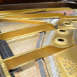 1905 Steinway Louis XV model B grand piano - Grand Pianos